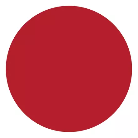 Sprayfärg CarColor röd 101950 400ml - Maston Bilfärg sprayfärger - 6412490001100 - 2