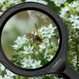 Handhållen förstoringsglas | Linsstyrka: 4 Diopter | 10000 | 0.05 W | 9 lm | Svart - Handverktyg - 5412810472260 - 52