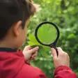 Handhållen förstoringsglas | Linsstyrka: 4 Diopter | 10000 | 0.05 W | 9 lm | Svart - Handverktyg - 5412810472260 - 53