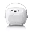 Bluetooth®-högtalare med trådlös karaokemikrofon - Nedis produkter - 8711902093770 - 20