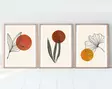 Inramad MDF-tavla Wallity Flerfärgad MDF 50x70 cm 3 Delar - Tavlor och ramar - 8684282341000 - 6