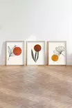 Inramad MDF-tavla Wallity Flerfärgad MDF 50x70 cm 3 Delar - Tavlor och ramar - 8684282341000 - 5