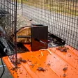 Ristiinhalkaisuterä halkomakoneeseen - Vedklyvar - 6438168105260 - 7