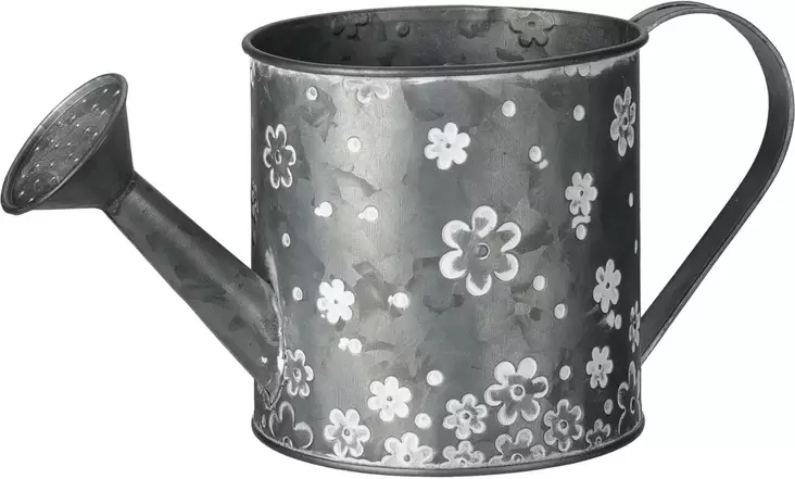 Vattenkanna i Zink Daisy - Praktisk och Charmig - Vattenkannor - 8720573495660 - 1