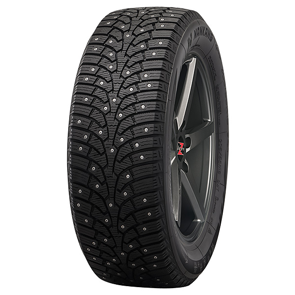 Nankang Ice Activa SW-9, 205/55R16, Vinterdäck Dubbade - 16-tums - 4718022017710 - 1