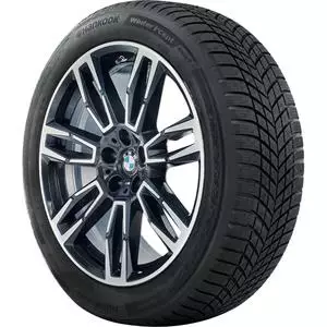Hankook Winter I*cept EVO4 (W340) 255/50R19 Friktionsdäck - 19-tums - TO-202550 - 1