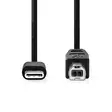 USB-kabel | USB 2.0 | USB-C Hane | USB-B Hane | 480 Mbps | Nickelplaterad | 2.00 m | Rund | PVC | Svart | Låda - Dator och nätverk - 5412810336111 - 10