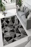 Matta Conceptum W942 Grå Polyester 120x180 cm - Stora och medelstora mattor - 8683342887991 - 2