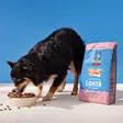 - Hundmat och måltider - 6438554010581 - 3