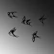 Väggdekor Metall Wallxpert Swallows Svart Metall 18x19 cm 19x19 cm 11x19 cm 17x19 cm 14x19 cm 5 Delar - Dekorationer, prydnadsföremål - 8683342941181 - 7