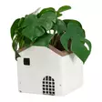 Ruukku Talo 16 cm 4 Living Collection - Sementtinen taloteemainen suojaruukku - Hushållsprodukter - 6410416435381 - 2