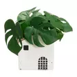 Ruukku Talo 16 cm 4 Living Collection - Sementtinen taloteemainen suojaruukku - Hushållsprodukter - 6410416435381 - 3
