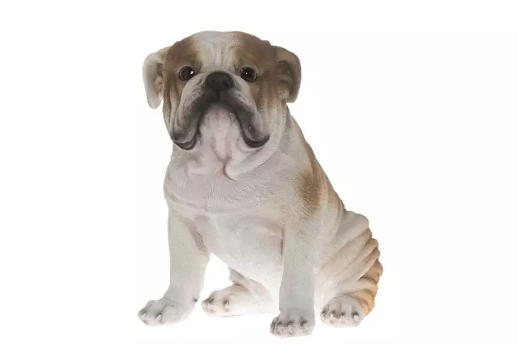 Trädgårdsstaty Bulldog 34 cm - Trädgårdsdekorationer - 6410412994561 - 1
