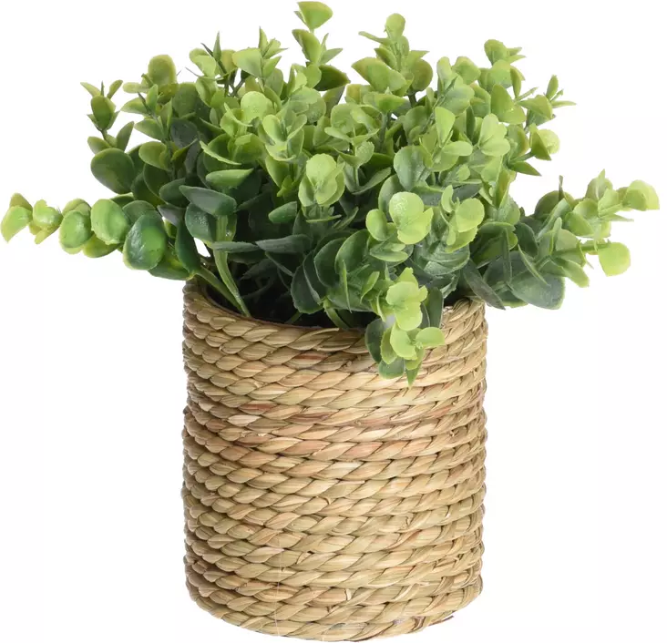 Kasvi merihein=C3=A4 ruukussa 23cm P=C3=A4=C3=A4kuva sivusta - Konstgjorda växter och plastblommor - 8719987846021 - 1