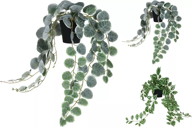 Koristekasvi ruukussa 2erilaista - Hängande blomkrukor och vaser - 8720573166331 - 1