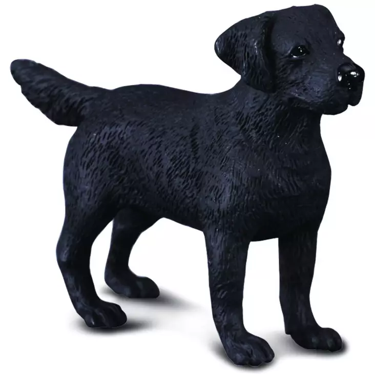 Labradorinnoutaja M CollectA - Djurfigurer - 4892900880761 - 1