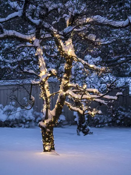 Teno 15 m/500 led ip44 (app-toiminto) - Dekorationsljus - 6435200268372 - 1