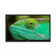 24 tums HD LED-TV med DVB-T2 DVB-C DVB-S2 12V Svart - TV-apparater och mediaspelare - 8711902072232 - 14