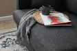 3-sits bäddsoffa Atelier del Sofa Eva Antracit Polyester 210x90x82 cm - Bäddsoffor - 8683743274352 - 4