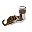 SmartLife Dispenser för husdjursfoder | Automatisk hund- och kattmatare | Wi-Fi | 4.5 l | Android / IOS - Nedis produkter - 5412810481422 - 45