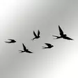 Väggdekor Metall Wallxpert Crow Svart Metall 33x22,5 cm 5 Delar - Dekorationer, prydnadsföremål - 8683742939962 - 7