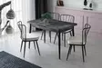 Matbord Hanah Home Ay 1182 Antracit Spånskiva 120x75x70 cm - Matbord - 8683342538602 - 2