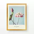 Inramad Tavla Wallity Flerfärgad Trä 55x75 cm - Tavlor och ramar - 8683743021062 - 1