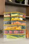 Förvaringslåda Set Hermia Orange Plast 17 Delar - Matlådor och matförvaringsbehållare - 8684283210312 - 2