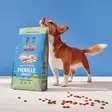 - Hundmat och måltider - 6438554010642 - 2
