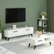 TV-bänk Hanah Home Melisa Vit Spånskiva 120x45x29,6 cm - TV-bänkar - 8683342952552 - 4