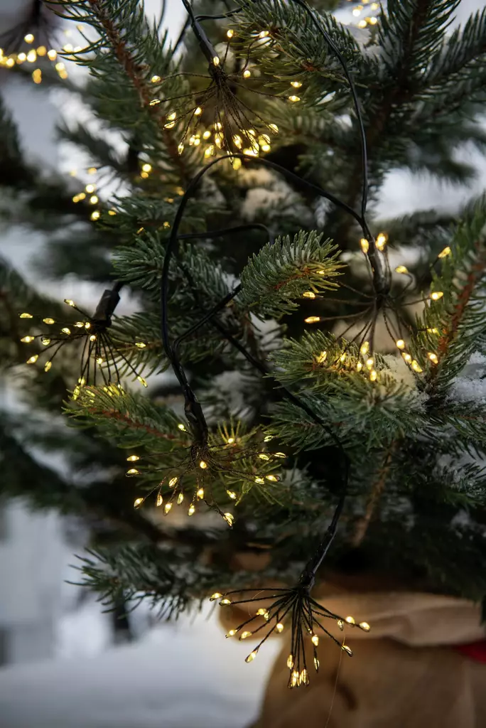 Koristevalo Allium 200 Led musta johto - Ljussmycken och ljusfigurer - 6435200288882 - 1