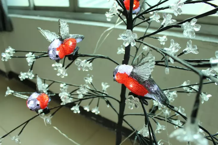 Koristevalo Punatulkku Led 5 kpl akryyli - Ljussmycken och ljusfigurer - 6438168110202 - 1