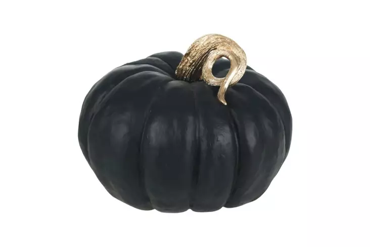 Dekorativ Objekt Aberto Design Kabak Svart Polyester 24x30x30 cm - Dekorationer, prydnadsföremål - 8684282698692 - 1