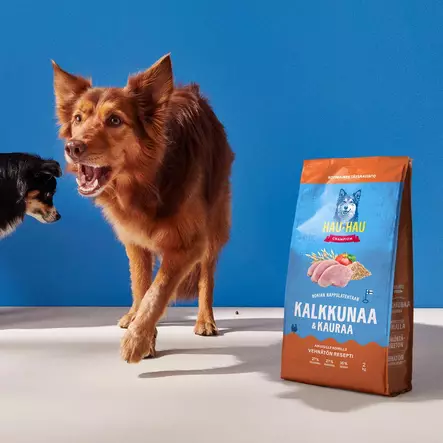 - Hundmat och måltider - 6438554012233 - 2
