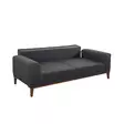 3-sits bäddsoffa Atelier del Sofa Liones Antracit Polyester 223x94x82 cm - Bäddsoffor - 8683342812153 - 8