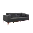 3-sits bäddsoffa Atelier del Sofa Liones Antracit Polyester 223x94x82 cm - Bäddsoffor - 8683342812153 - 4