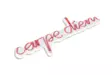 Dekorativ Led Väggbelysning Wallity Carpe Diem Rosa Plast 53x20 cm - Ljussmycken och ljusfigurer - 8682870287693 - 1