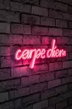 Dekorativ Led Väggbelysning Wallity Carpe Diem Rosa Plast 53x20 cm - Ljussmycken och ljusfigurer - 8682870287693 - 3