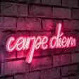 Dekorativ Led Väggbelysning Wallity Carpe Diem Rosa Plast 53x20 cm - Ljussmycken och ljusfigurer - 8682870287693 - 2