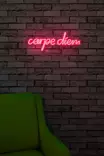 Dekorativ Led Väggbelysning Wallity Carpe Diem Rosa Plast 53x20 cm - Ljussmycken och ljusfigurer - 8682870287693 - 4