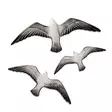 Dekorativ Väggaccessoar Aberto Design Flying Seagulls Vit Polyester 30x11x2 cm 24x9x2 cm 19x7x2 cm - Dekorationer, prydnadsföremål - 8683743851843 - 1