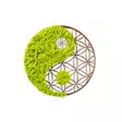 Väggdekor Trä Wallxpert Yin Yang Grön Brun MDF 44x44 cm - Dekorationer, prydnadsföremål - 8683342206723 - 1