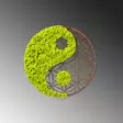 Väggdekor Trä Wallxpert Yin Yang Grön Brun MDF 44x44 cm - Dekorationer, prydnadsföremål - 8683342206723 - 5