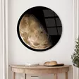 Glastavla Wallity Flerfärgad Glas Ø 60 cm - Tavlor och ramar - 8684282461463 - 2