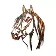 Väggdekor Metall Wallity Horse Flerfärgad Metall 38x53 cm 3 Delar - Dekorationer, prydnadsföremål - 8683743851713 - 1