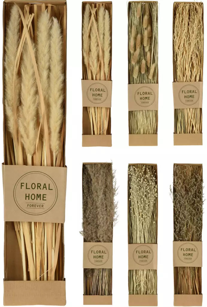 Torkade Naturliga Grenar i Förpackning - Stilfull och Naturlig Dekoration - Dekorationer, prydnadsföremål - 8720573290883 - 1