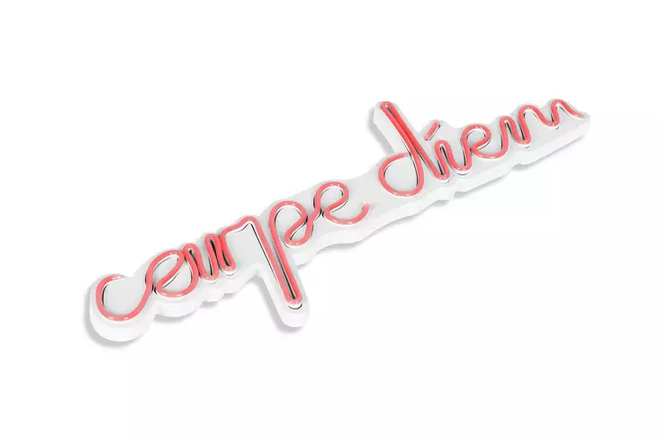 Dekorativ Led Väggbelysning Wallity Carpe Diem Rosa Plast 53x20 cm - Ljussmycken och ljusfigurer - 8682870287693 - 1