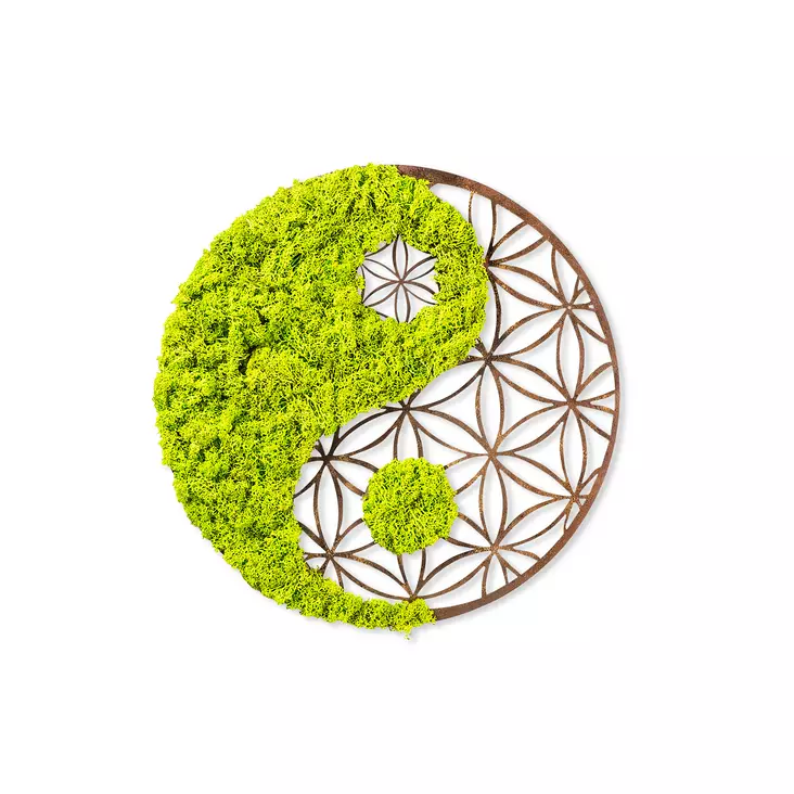 Väggdekor Trä Wallxpert Yin Yang Grön Brun MDF 44x44 cm - Dekorationer, prydnadsföremål - 8683342206723 - 1