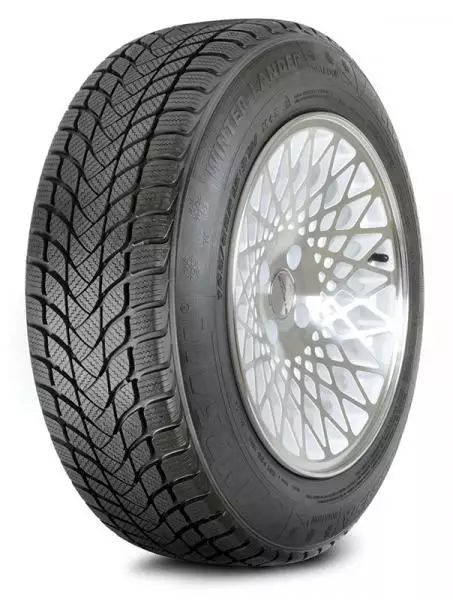 Landsail Winter Lander (Nordic) 205/55R16 Friktionsdäck - 16-tums - TO-132143 - 1