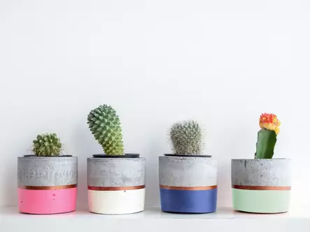 Spraymaali ONE - Satiini Vihre=C3=A4 RAL6029 - Sprayfärger - 6412490033644 - 2